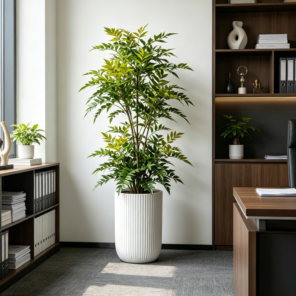 73-135cm Artificial Nandina Pl – Dracaena Marginata Bewertung und Preis