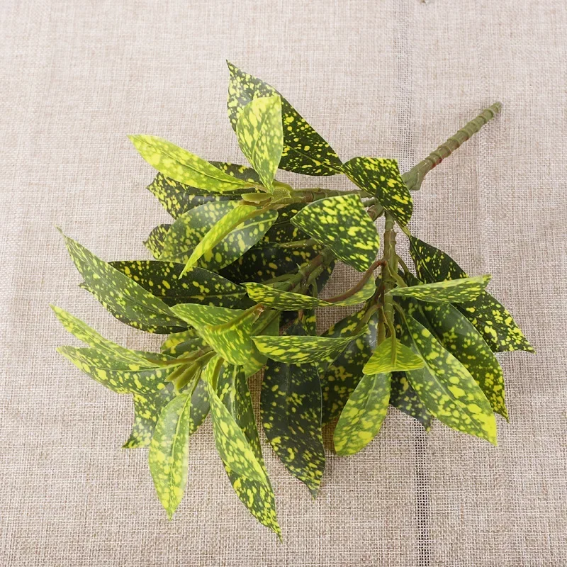 Plastic Artificial Color-chang – Dracaena Marginata Bewertung und Preis