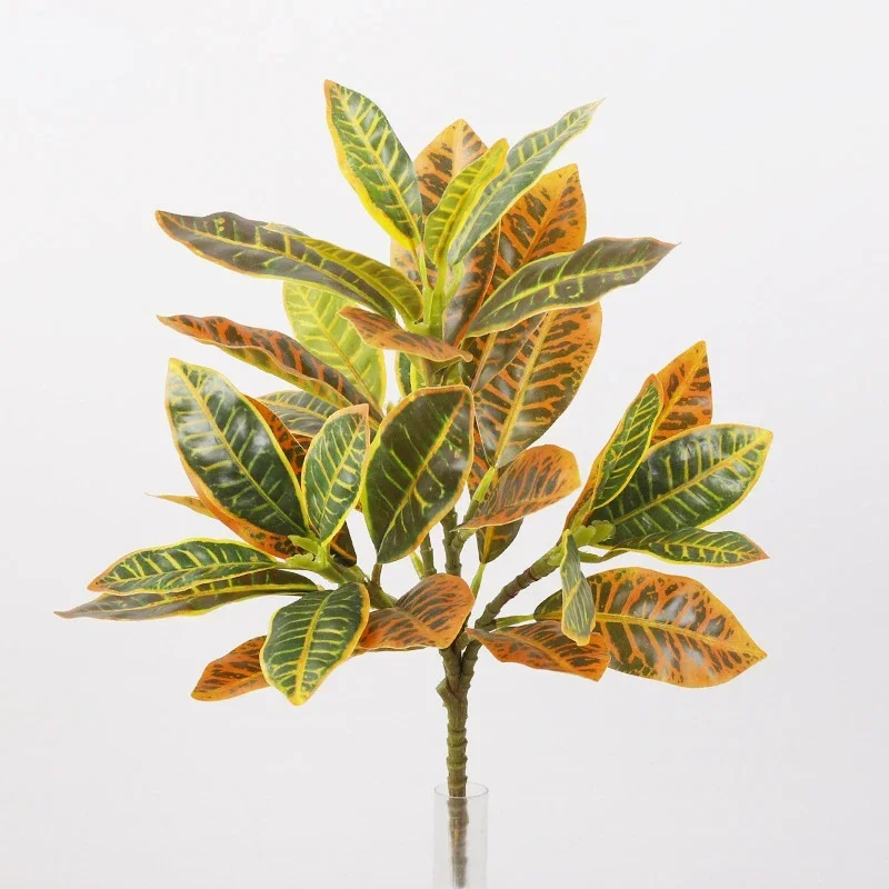 Plastic Artificial Color-chang – Dracaena Marginata Bewertung und Preis