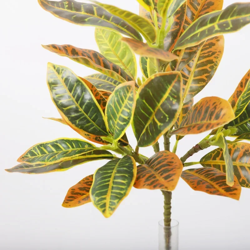 Plastic Artificial Color-chang – Dracaena Marginata Bewertung und Preis