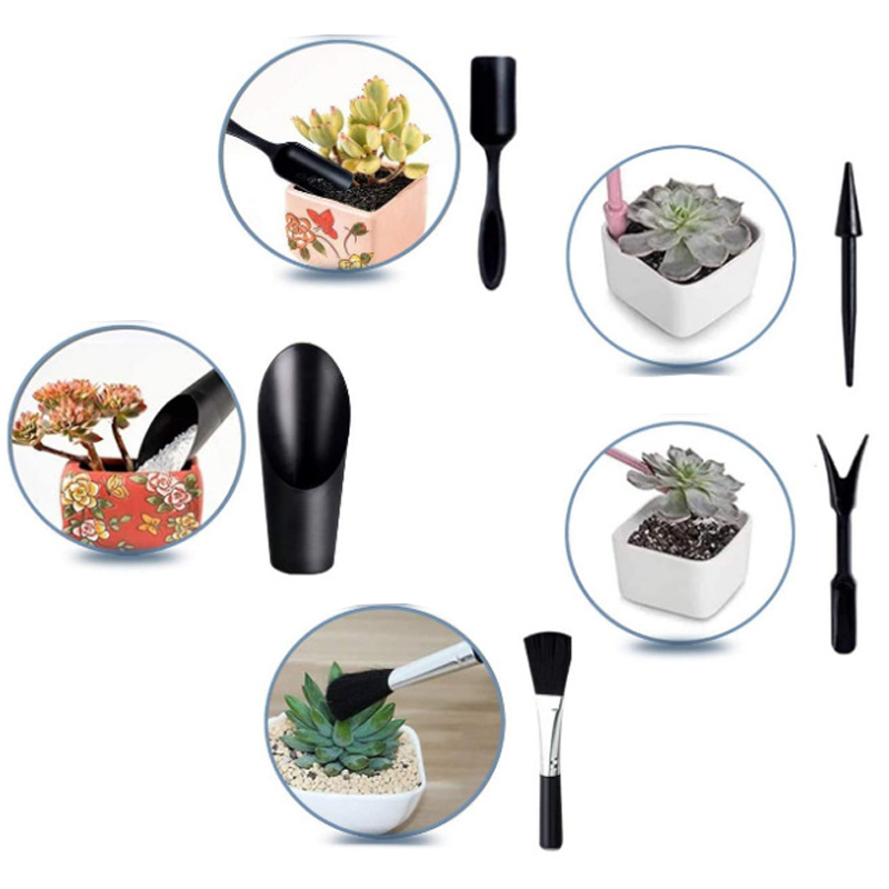 Mini Gardening Tool Set Label  – Echeveria Succulent Bewertung und Preis