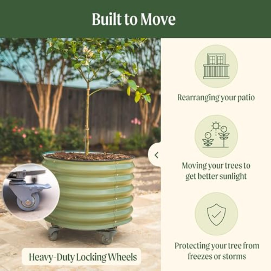 Self-Watering Rolling Metal Ci – Aloe Vera Pot Bewertung und Preis