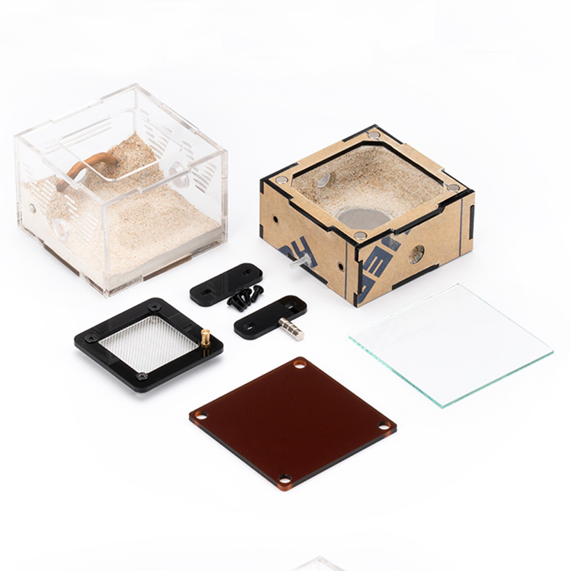 Unlimited Expansion Ant Farm H – Begonia Rex Bewertung und Preis
