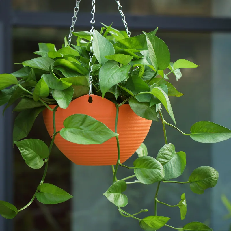 Plastic hanging basket flower  – Spider Plant Hanging Bewertung und Preis